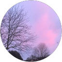 Elmera Ahmed profile picture
